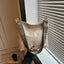 Emma | Bag With Large Capacity